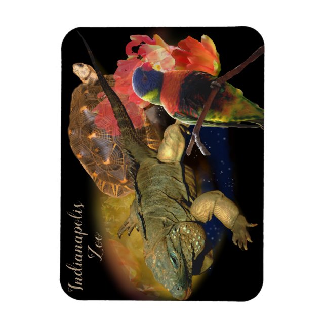 Íman Répteis e Aves do Zoológico de Indianápolis (Vertical)