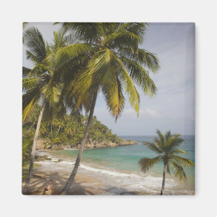 Íman República Dominicana, Costa Norte, Abreu, Praia