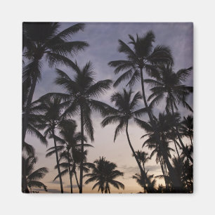 Íman República Dominicana, Península de Samana, Las 2