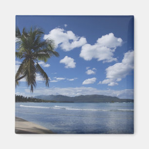 Íman República Dominicana, Península de Samana, Las 4