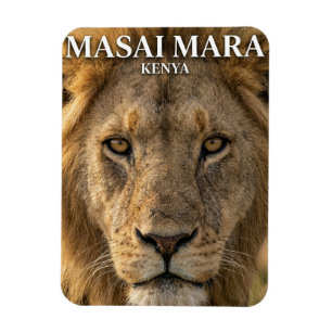 Íman Reserva Nacional Masai Mara Quênia