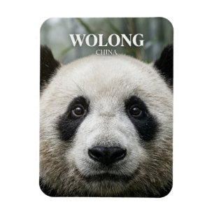Íman Reserva Natural Nacional de Wolong China