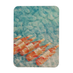 Íman Resfriamento do vinho 2010