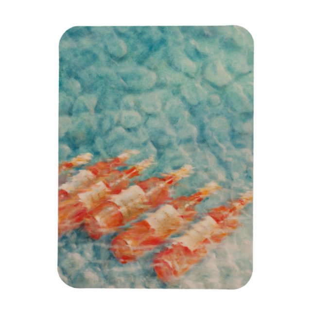 Íman Resfriamento do vinho 2010 (Vertical)