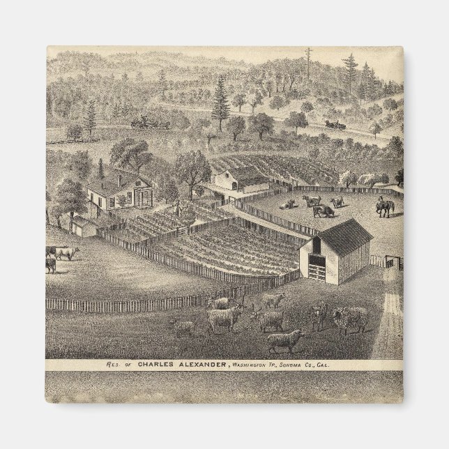 Íman Residências de Charles Alexander (Frente)