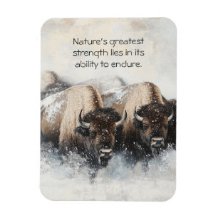 Íman Resiliência de Buffalo: Tempestade de Neve