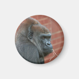 Íman Resilient Gorilla Mãe