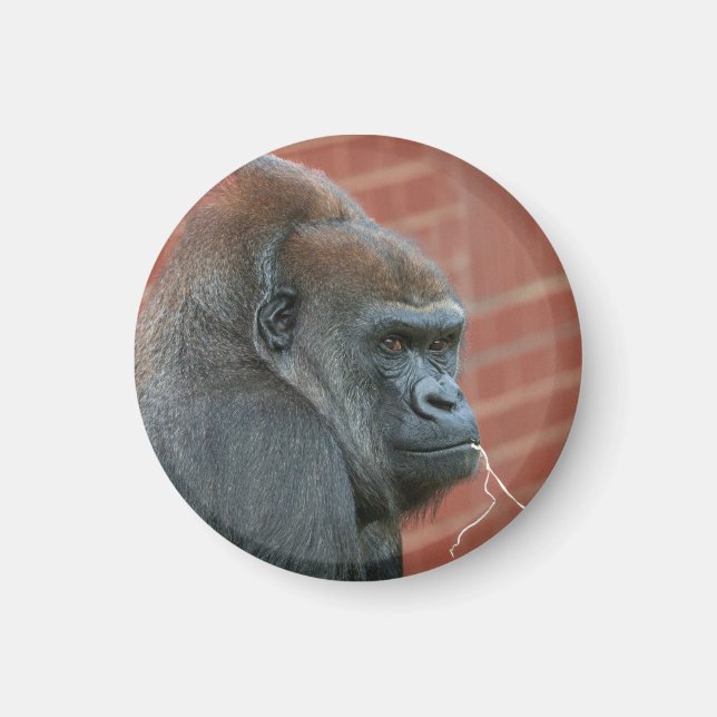 Íman Resilient Gorilla Mãe (Frente)