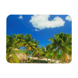 Íman Resort de praia tropical, Belize