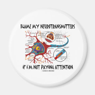 Íman Responsabilize meus neurotransmissor se não que