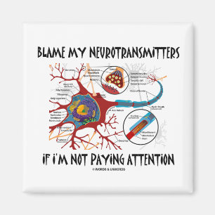 Íman Responsabilize meus neurotransmissor se não que