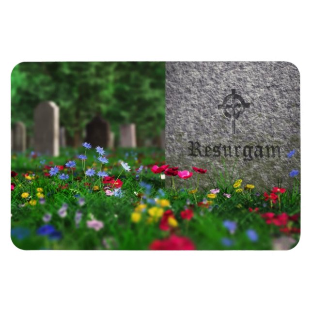 Íman Ressurgir Magnet Flexível (Horizontal)