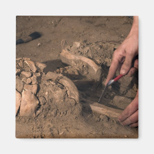 Íman Restos humanos