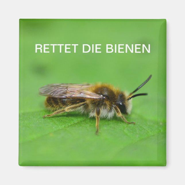 Íman Retet die Bienen (Frente)