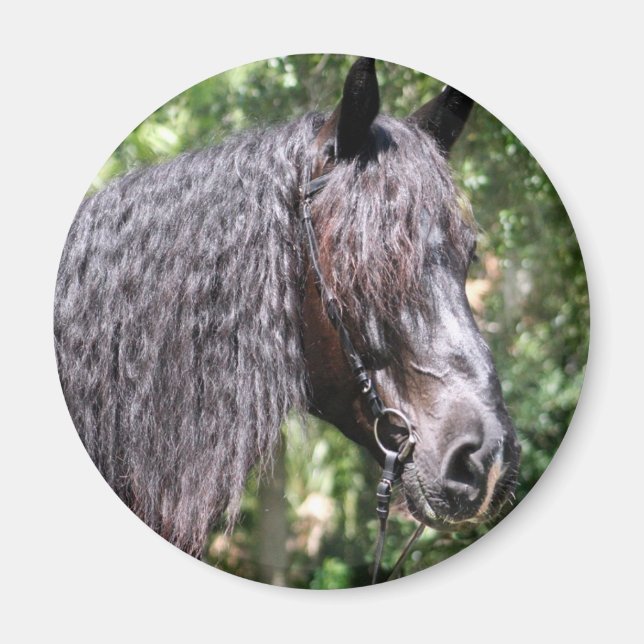 Íman Retrato (Frente)