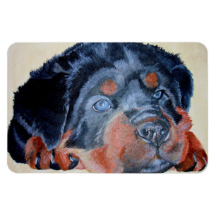 Íman Retrato Artístico Rottweiler