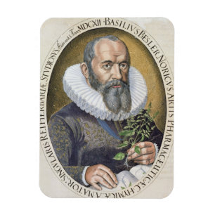 Íman Retrato da manjericão Besler (1561-1629) em 1612,