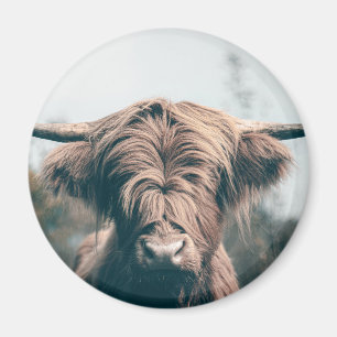 Íman Retrato das vacas do planalto