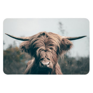 Íman Retrato das vacas do planalto