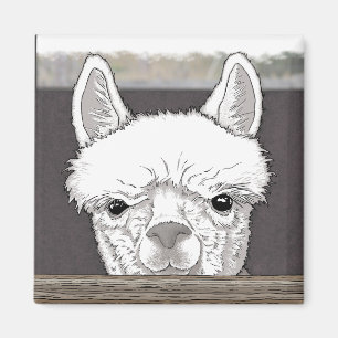 Íman Retrato de Alpaca