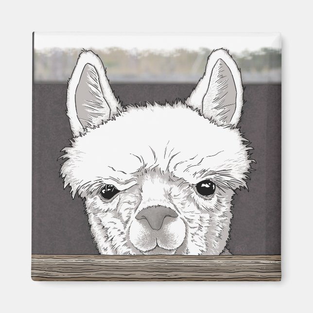 Íman Retrato de Alpaca (Frente)