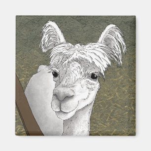 Íman Retrato de Alpaca 2