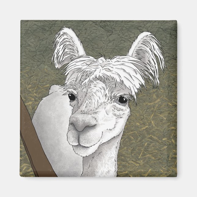 Íman Retrato de Alpaca 2 (Frente)