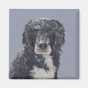 Íman retrato de animal de estimação mestiço de spaniel