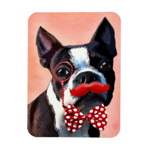 Íman Retrato de Boston Terrier com gravata de Arco verm