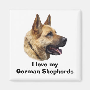 Íman Retrato de cão German shepherd alsaciano