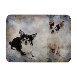 Íman Retrato de dois chihuahua
