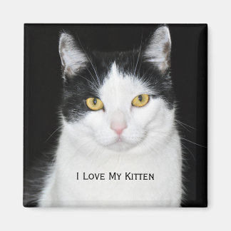 Íman Retrato de Gato Preto e Branco