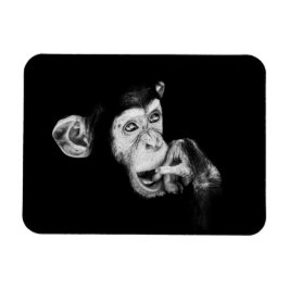 Íman Retrato de um pensador, Chimpanzé