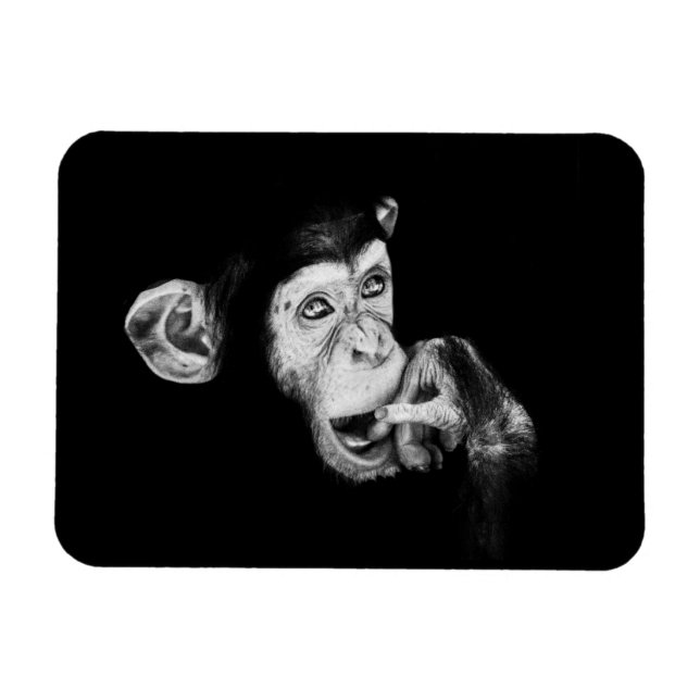 Íman Retrato de um pensador, Chimpanzé (Horizontal)