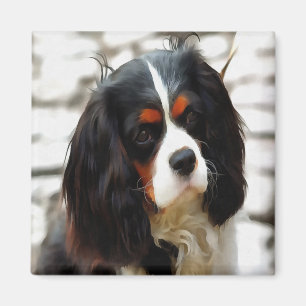 Íman Retrato De Um Rei Charles Cavalier Spaniel