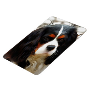 Íman Retrato De Um Rei Charles Cavalier Spaniel