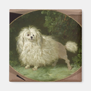Íman Retrato de uma caniche