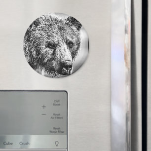 Íman Retrato de urso Grizzly