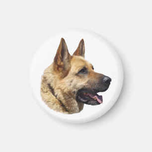 Íman Retrato do German shepherd alsaciano