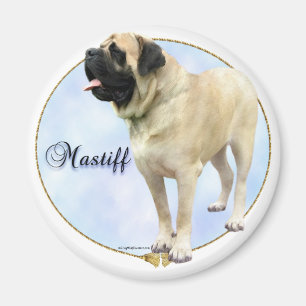 Íman Retrato do Mastiff da jovem corça