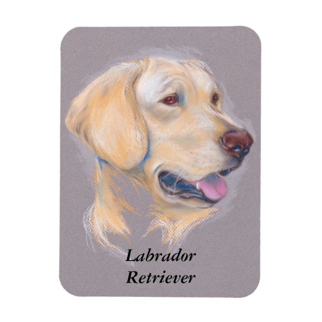 Íman Retrato do Retriever Labrador Amarelo (Vertical)