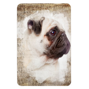 Íman Retrato do vintage do Pug