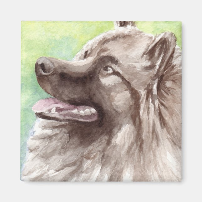 Íman Retrato em Aquarela de Keeshond (Frente)
