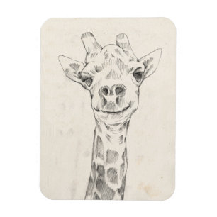 Íman Retrato Girafa