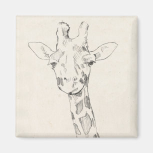 Íman Retrato Girafa  Esboço