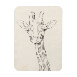 Íman Retrato Girafa  Esboço