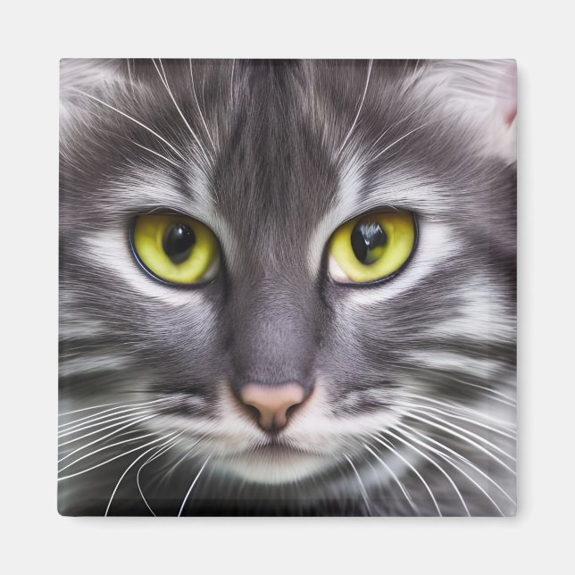 Íman Retrato maravilhoso de gato (Frente)