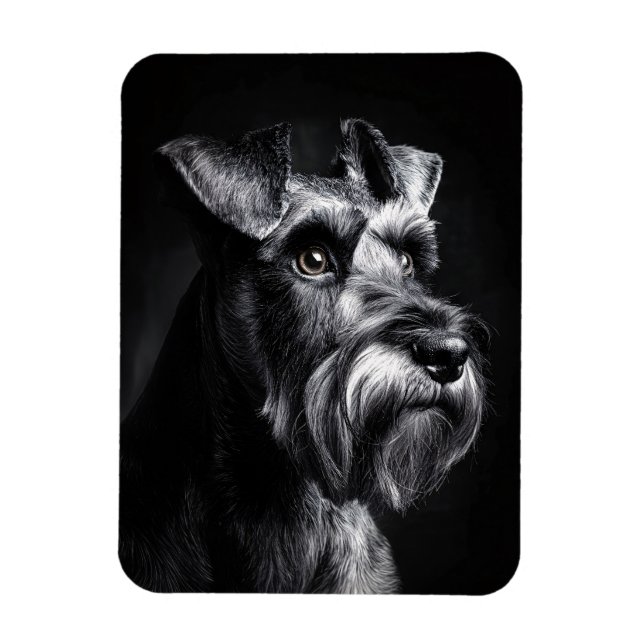 Íman Retrato Monocromático Flexível de Schnauzer (Vertical)