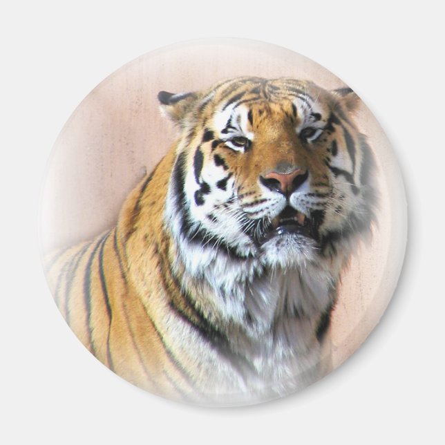Íman Retrato Tiger (Frente)