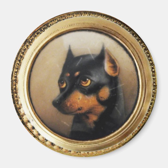Íman RETRATOS DE CACHORRO MINIATURA Pincher (Frente)